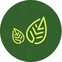 JobMint.ai logo