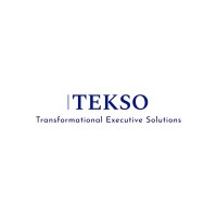 Transformational Executive Solutions - Tekso d.o.o. logo