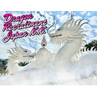 Dragon Recruitment Japan K.K logo