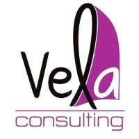 Vela Consulting logo
