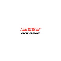 PWP Holding logo