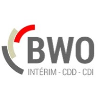 BWO - BRAIN WORK OFFICE - RECRUTEMENT logo