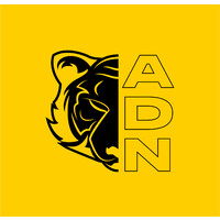ADN Head Hunting logo