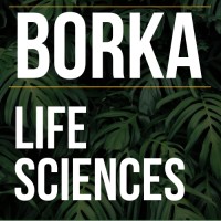 Borka Consulting Life Sciences Recruitment logo