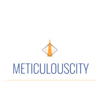 Meticulouscity logo