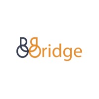 Bridge Remote Deutschland logo