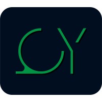 QY Search & Advisory logo