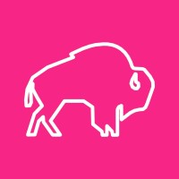 BisonRS - RevOps Recruitment Specialists logo
